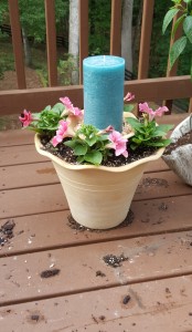 I finished planting all of my different planters for the porch.